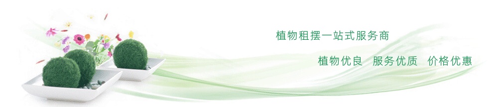 成都心怡花卉租賃有限公司網(wǎng)站banner