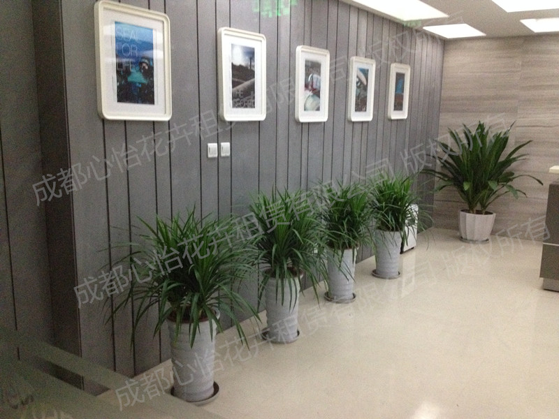 綠植租擺案例