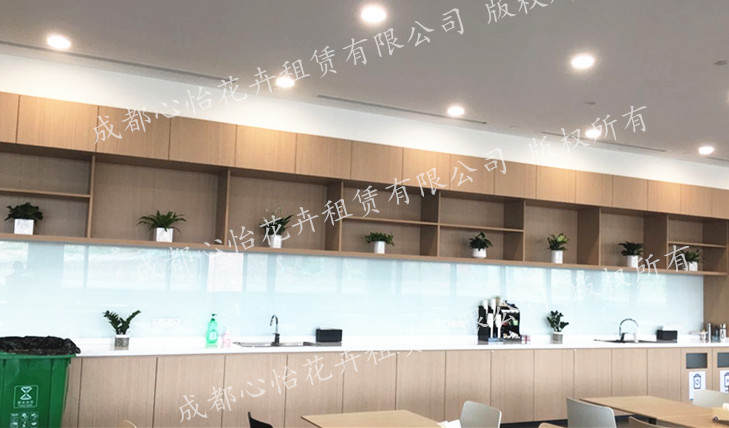 辦公室ins風(fēng)綠植租擺